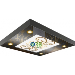 Cabin ceiling