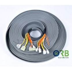 Flat cable