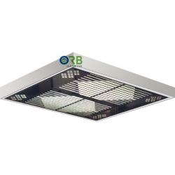Cabin ceiling