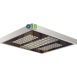 Cabin ceiling