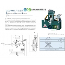 Bi-directional Overspeed Governor