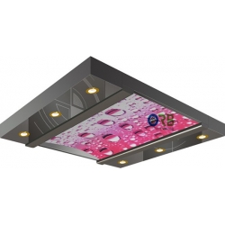 Cabin ceiling
