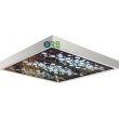 Cabin ceiling
